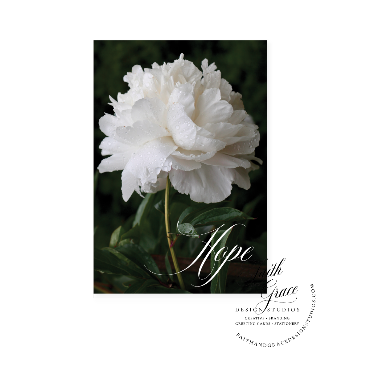 Hope Double White Peony Note Card | Blank Inside