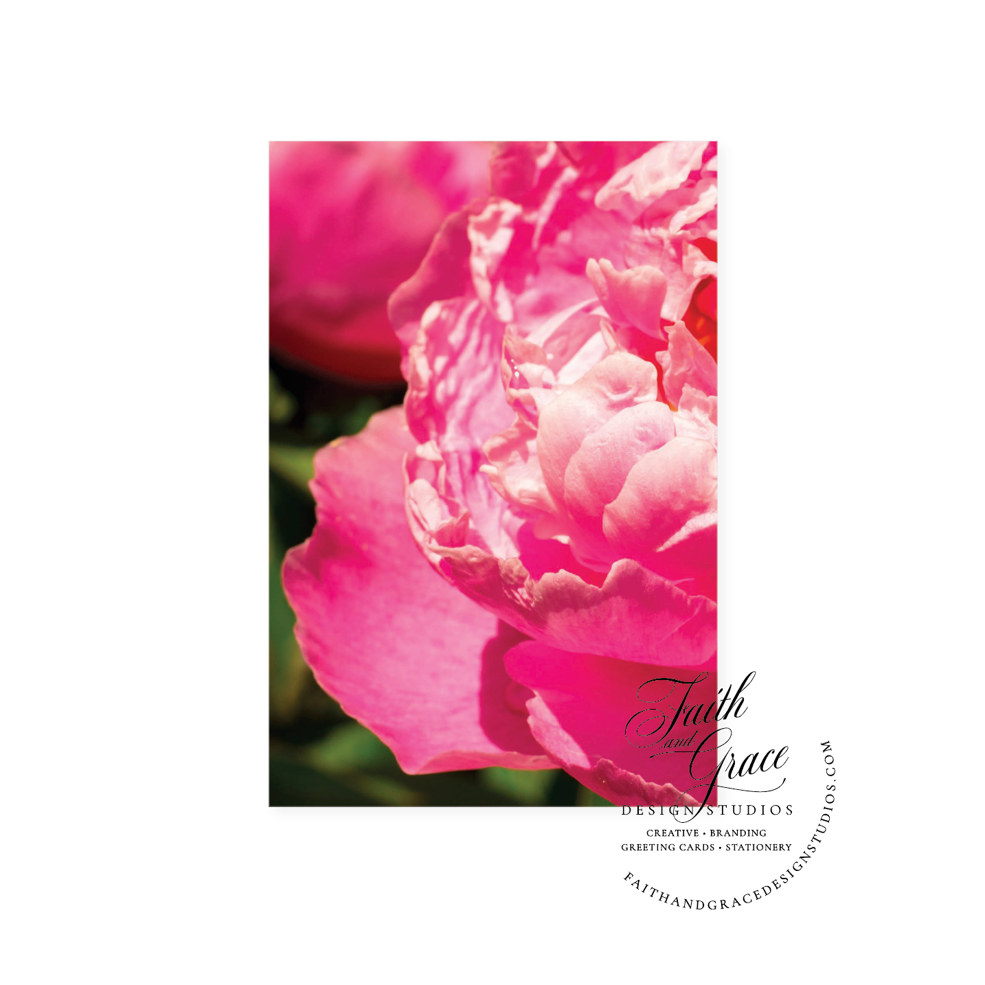 Pink Peony Blank Note Card