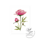 Pink Painted Peony Blank Note Card