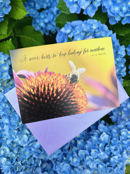 Keep Looking for Sunshine Summer Greeting Card | Blank Inside