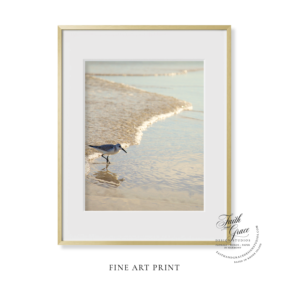 Fine Art Print: Piping Plover on Delray Beach, Florida