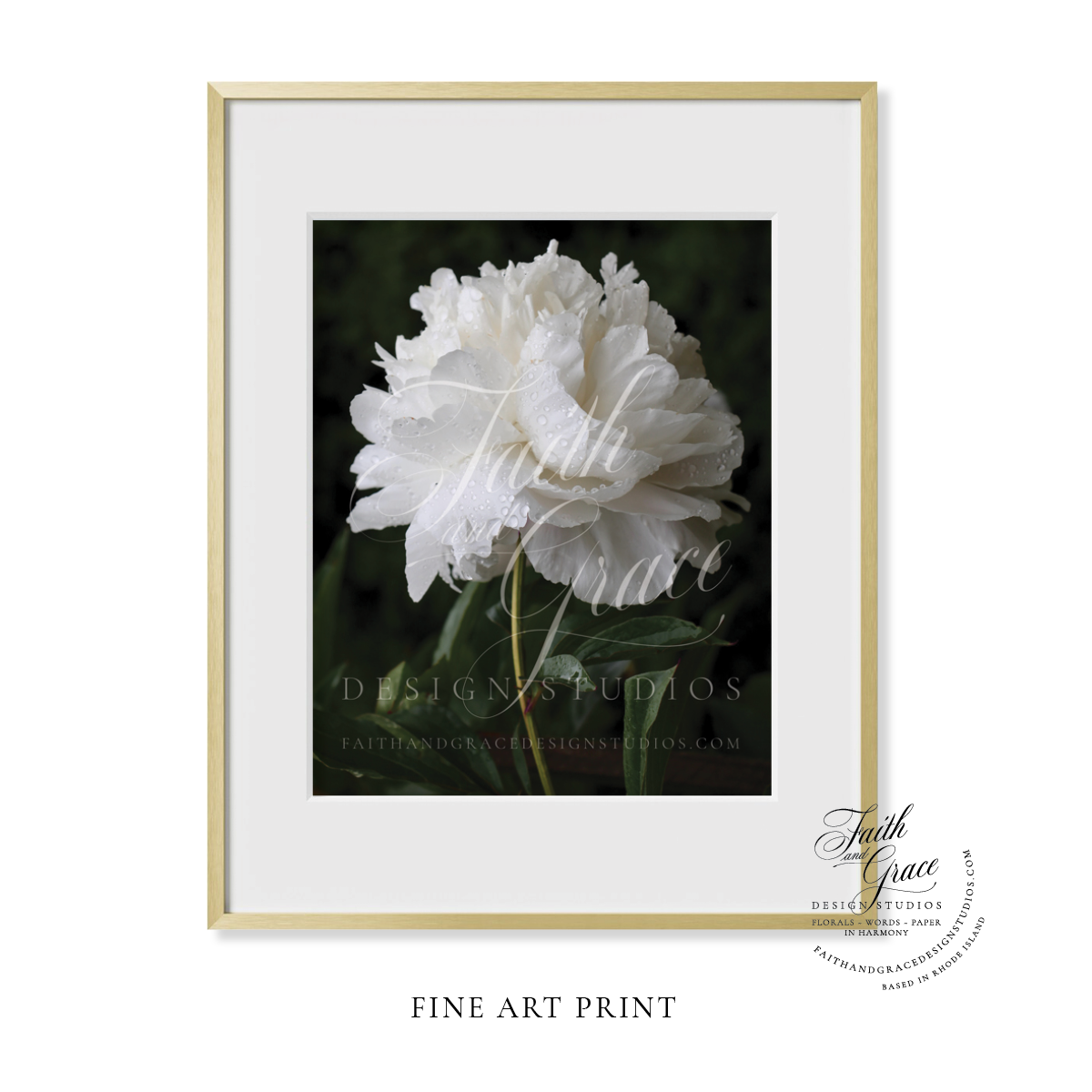 Fine Art Print: Double White Peony Fine Art Floral Print