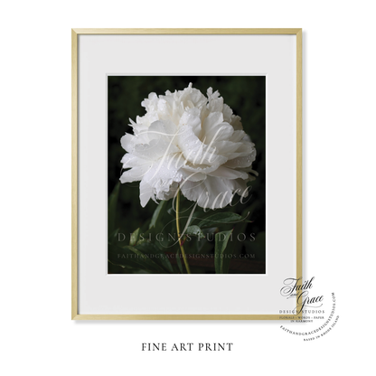 Fine Art Print: Double White Peony Fine Art Floral Print