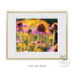 Fine Art Print: Evening Light on the Echinacea Fine Art Floral Print