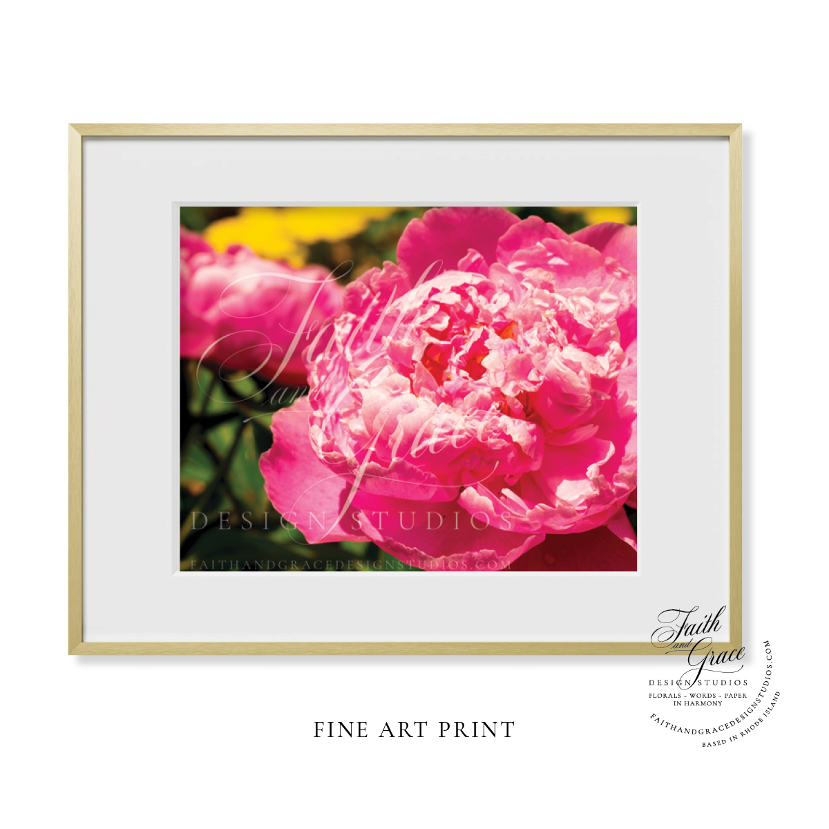 Fine Art Print: Pink Peony III