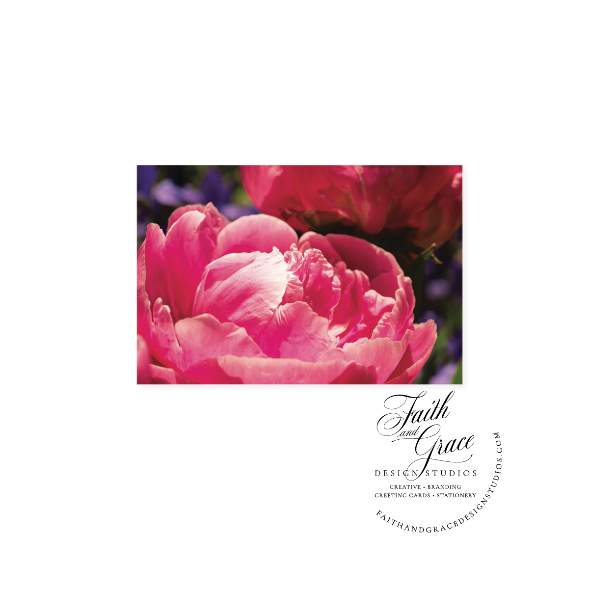 Pink Peony III Blank Notecard