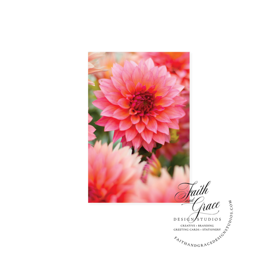 In the Pink Dahlias Notecard | Blank Inside