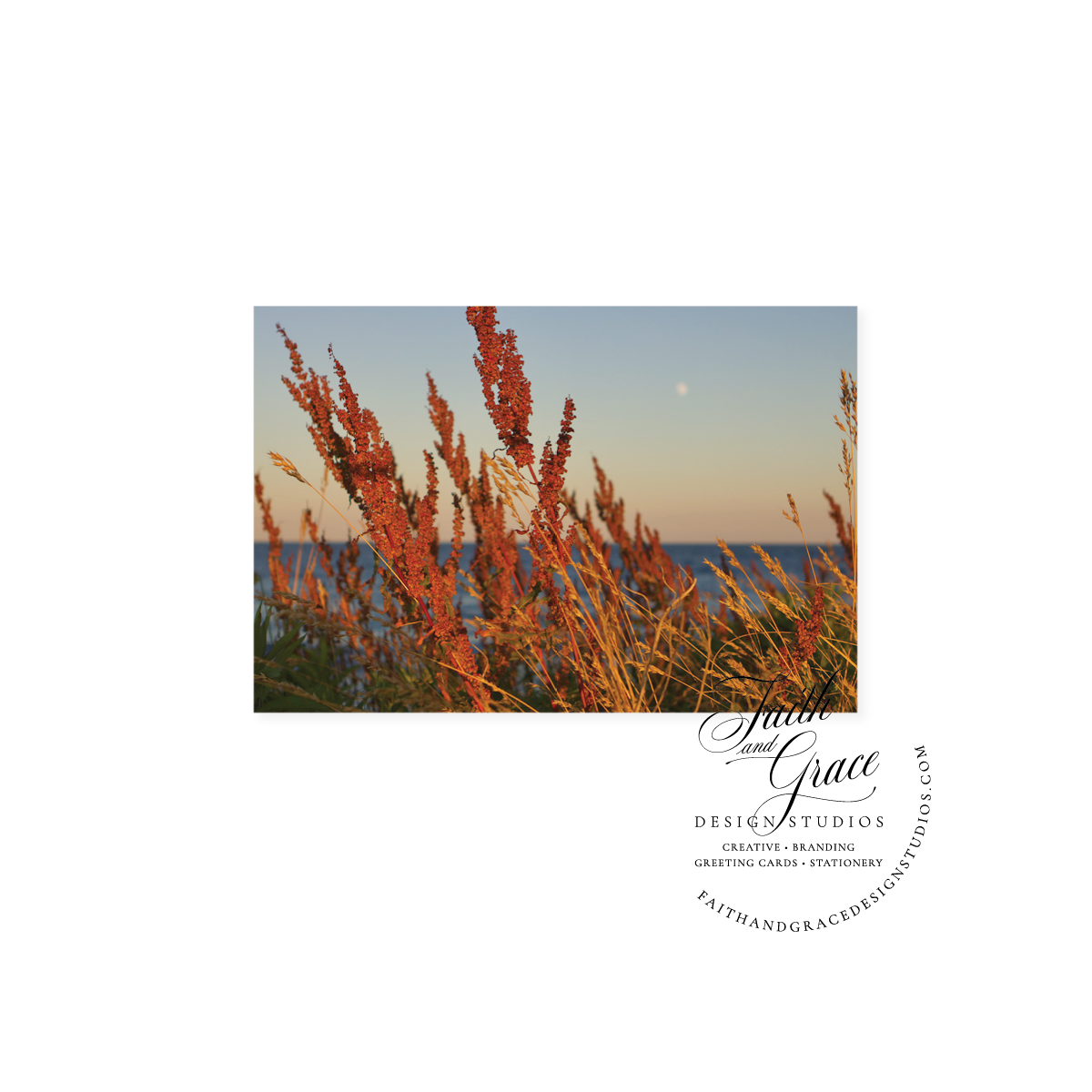 Coastal Summer Harvest Full Moon Blank Notecard