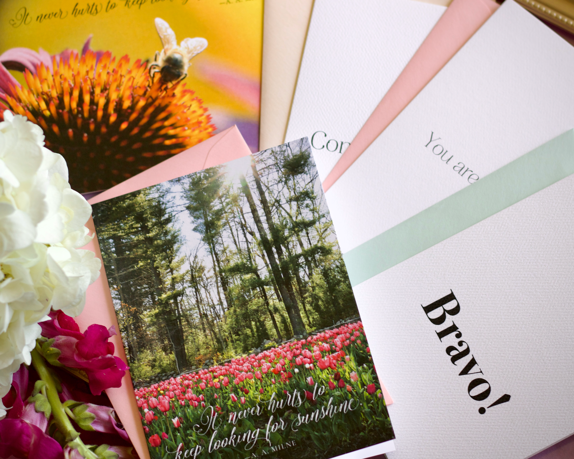 Encouragement, Thanks and Celebration Variety Pack - Any 10 Greeting Cards