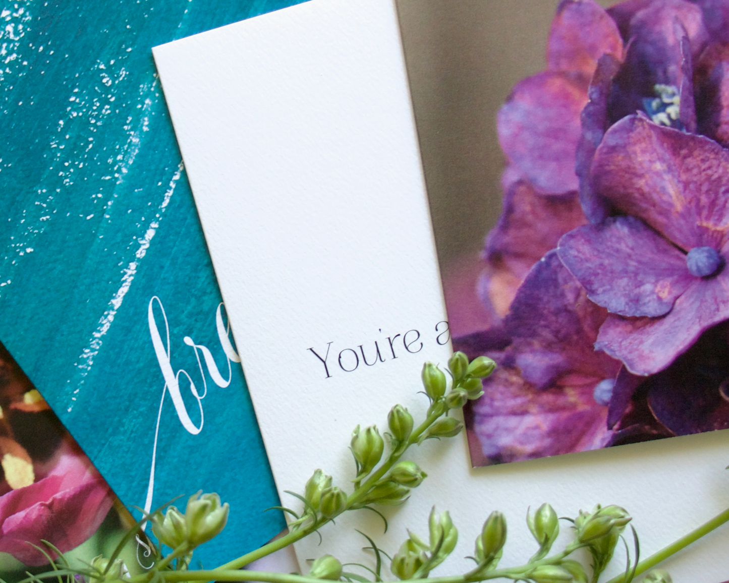 Set of 10 Encouragement, Thanks and Celebration Cards Variety Pack