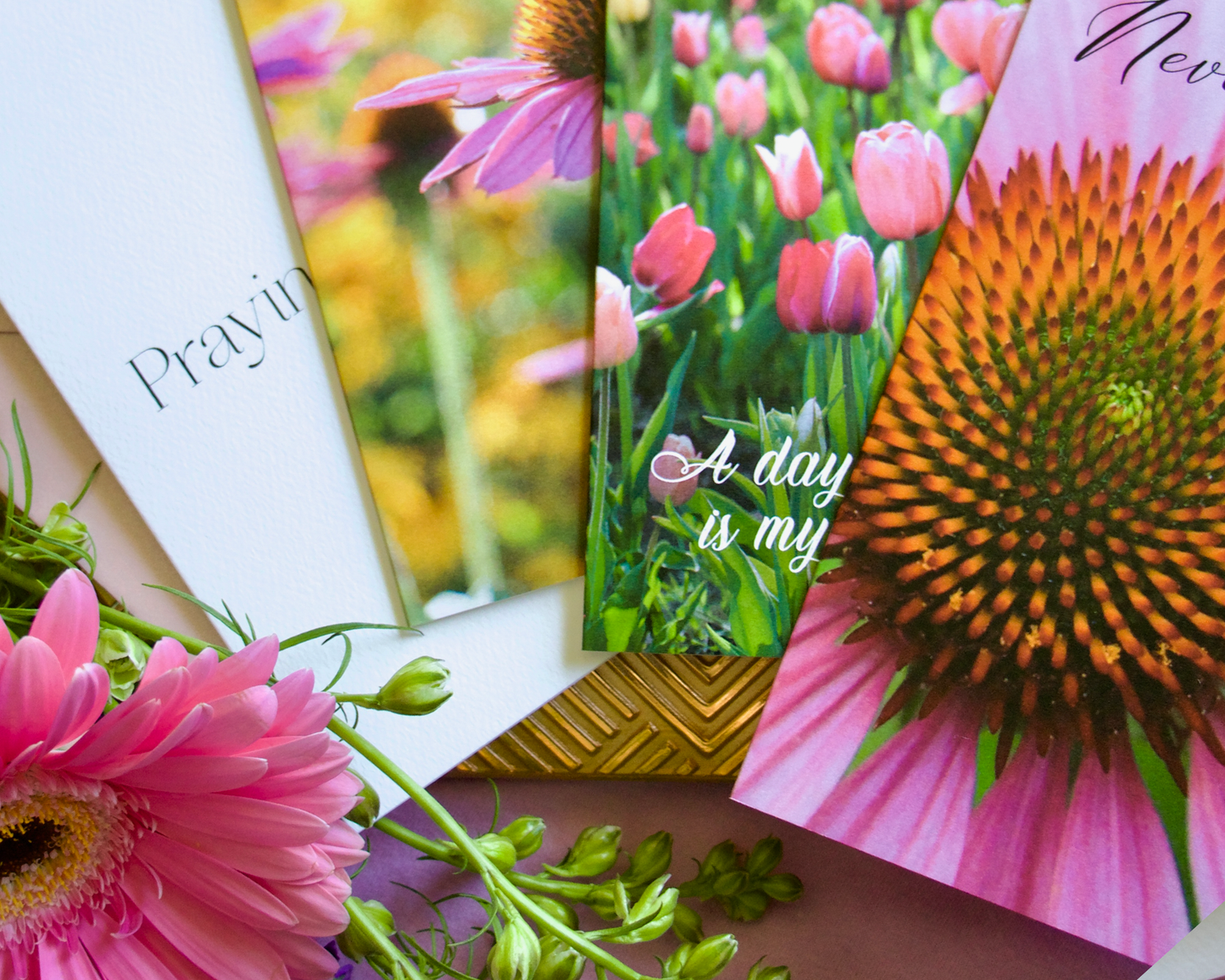 Set of 10 Encouragement, Thanks and Celebration Cards Variety Pack