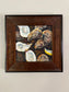 Quonnie Siren Oysters, 8x8 Acrylic Painting Framed in Dark Walnut by Kristina Petrilli