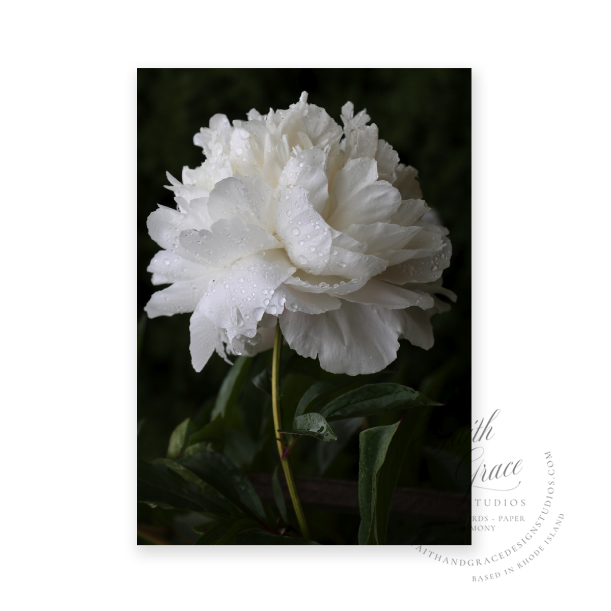 Double White Peony Praying for You Greeting Card
