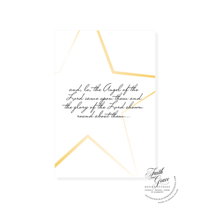 Piccolina Collection Assortment of 25