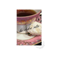 Vintage tea cup and saucer, and Italian butterball cookie featuring la dolce vita in script